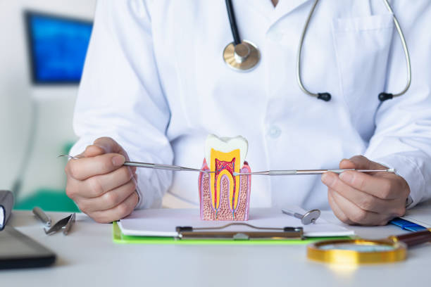 Best Emergency Treatment for Dental Infections or Abscesses in West Van Lear, KY